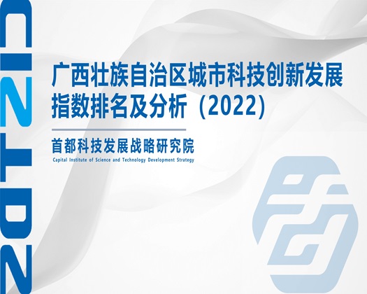 使劲操我比吧视频【成果发布】广西壮族自治区城市科技创新发展指数排名及分析（2022）